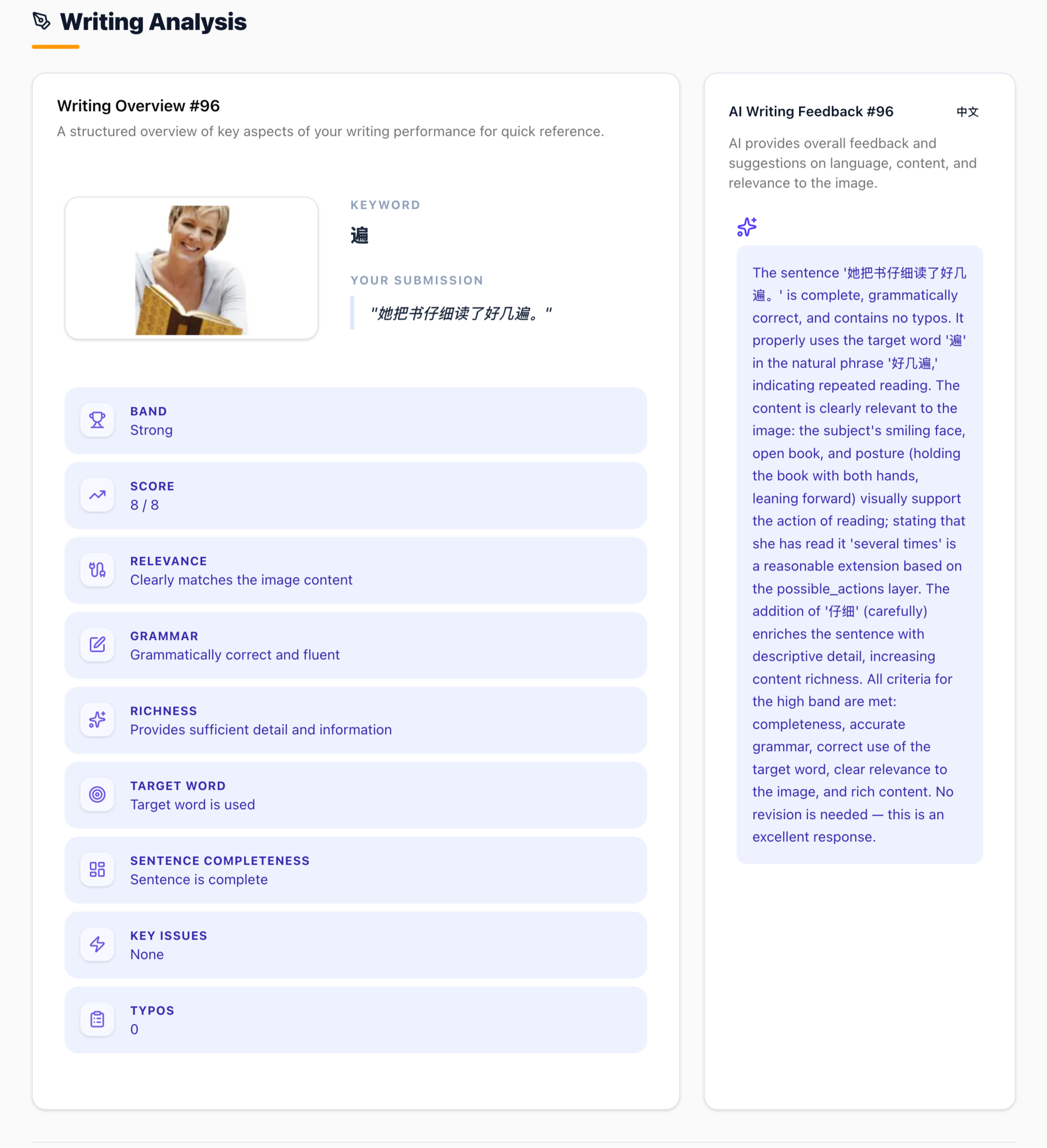 HSK Pro writing analysis screenshot